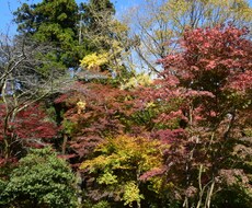 写真素材提供（風景など）します イメージ1