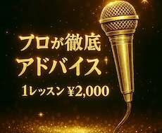 プロがあなたの歌を本格的にアドバイスします 手っ取り早く歌うまに♪ 録音データから丁寧にアドバイス!!