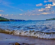 風景、物、などを撮ります イメージ1