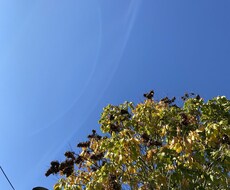 雑談しましょ！なんでもききます イメージ1
