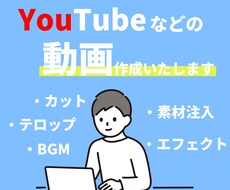 様々な動画を制作いたします イメージ1