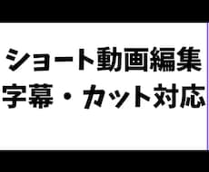 ショート動画の字幕・カット編集します イメージ1