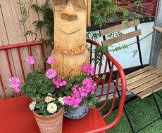 どんな事でも貴方の気持ちに寄り添います イメージ1