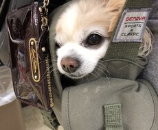 今日あった嫌な事や悩み、暇電全般^_^お話聞きます イメージ1