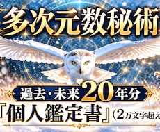 2万文字｜20年分年表＋数秘鑑定書をお届けします イメージ1