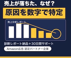 Amazon売上不振の原因を特定し改善策を出します イメージ1