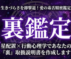 星と心理学であなたの『裏』取扱説明書を作成します イメージ1