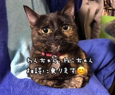 わんちゃん、ねこちゃんの相談乗ります イメージ1