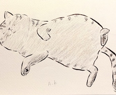 ご家庭にいるペットのイラストを作成いたします 絵本のタッチで見返したくなる！かわいいペットの姿そのままに！