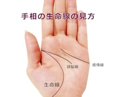手相♡手の甲、指紋、まるまる視ます 本当の手相占いしたことありますか？
