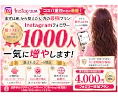 フォロワー1000人！格安で数字を増やします とにかく数字を増やしたい方へ。30日保証付で安心の格安プラン
