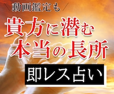 1日で、あなたの【本当の長所】を占います 【タロット占い】あなただけの動画鑑定のオプションも！