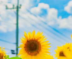 顔も知らない人だからこそ話せる悩み聞きます イメージ1