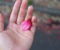 恋愛を軸にカウンセリングをします イメージ1
