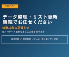 月額でデータ整理を継続で承ります イメージ1