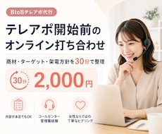 テレアポ開始前のオンライン打ち合わせをします 商材・ターゲット・架電方針を30分で整理します