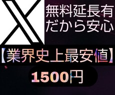理想のXアカウントになるようコンサルします 最安値◎納得行くまで延長可能◎収益化・フォロワー増加が得意◎