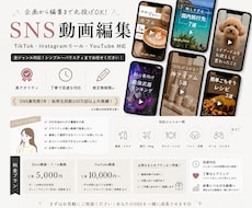 TikTok・YouTube動画編集します イメージ1