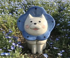 博多弁で何でも聞きます イメージ1