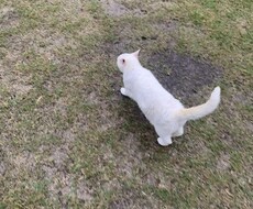あなたの長所見つけます イメージ1