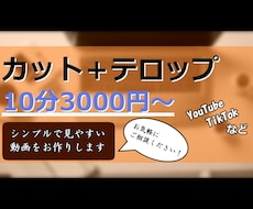動画編集のカット＋フルテロップをお手伝いします シンプルで見やすいテロップを作成します