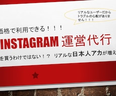 インスタを増加運営して日本人フォロワーを増やします 『ゆっくり・手作業』だから安心です！高額な運営代行も体験！？