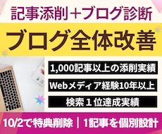記事添削＋ブログ診断⭐︎まとめて全体改善します 「文章×アフィリエイト×SEO×収益化」記事添削＋ブログ診断