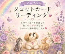 アニマルタロットでわが子の気持ちを読み解きます イメージ1