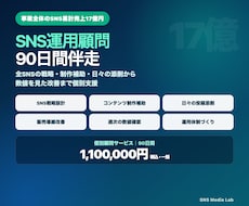SNS運用を90日間顧問として伴走します イメージ1
