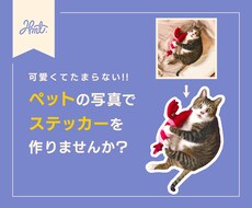 ペットの写真でステッカー作ります かわいい家族をいつでも身近に。