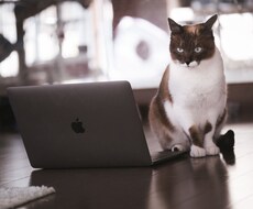 ここはチラシの裏！自由にストレス吐き出せます イメージ1