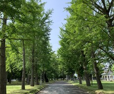 恋愛の良く分からない点を共にお考えします イメージ1