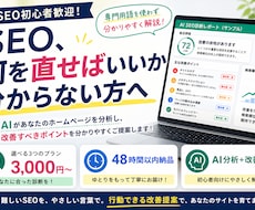 専門用語なし！点数でわかるHPのSEO診断します クリックで修正法が開く！動く報告書タイプのSEO改善診断