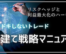 両建て戦略マニュアル販売します 予想しない・ドキドキしないFXトレード／両建て戦略マニュアル