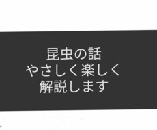 昆虫の話をやさしく楽しく解説します イメージ1