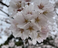 優しく包みます❤️1分ok!貴方のお話聞きます イメージ1