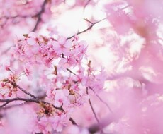 モニョモニョしてる方！自分ラブへ変化します イメージ1