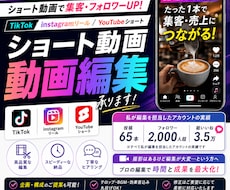 TikTok/リールの動画編集をします イメージ1