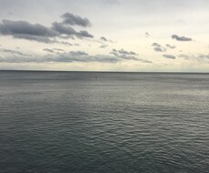 言い訳考えます イメージ1