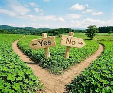 YES/NO or 選択肢の中でどれ？に回答します イメージ1