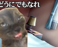 猫ミームをあなたの代わりに作ります！ます イメージ1