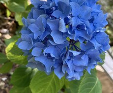 周りの人に話せない、なんでも聞きます イメージ1