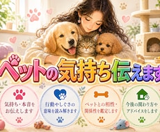 ペット占い│言葉にできないその子の想いを視ます イメージ1
