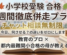 小学校受験！1週間チャット相談にて徹底伴走します イメージ1