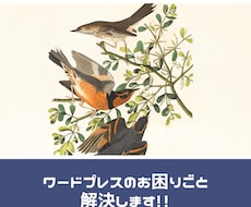 ワードプレスのお悩み解決します イメージ1