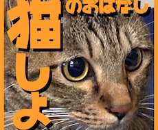 猫ちゃんの自慢話やお悩みをお聞きします イメージ1