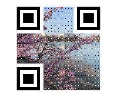オリジナル写真、イラストをQRコード背景添付します イメージ1