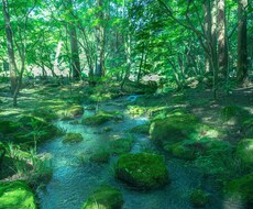 愚痴聞き、話し相手、お悩み相談承ります イメージ1