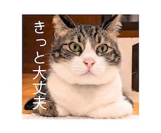 アイコンやスマホ待ち受け用の猫画像をお届けします イメージ1