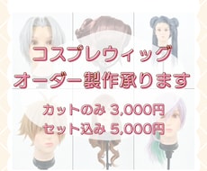 コスプレ初心者さん向け｜ウィッグオーダー受付ます イメージ1